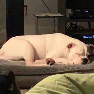 Meet your Posher, Chad